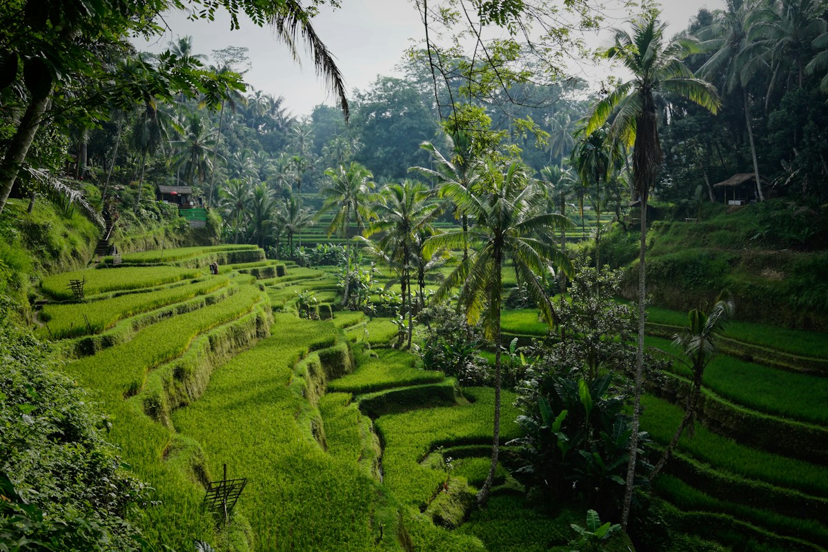 Ubud · Bedugul · Kuta — inspirasi percutian Bali
